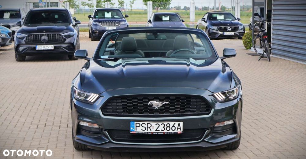Ford Mustang - 13