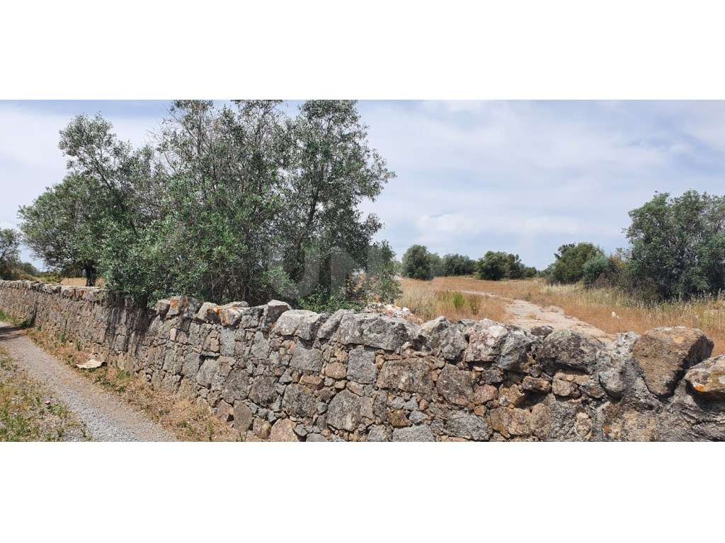 Terreno em Reguengos de Monsaraz - Grande imagem: 5/15