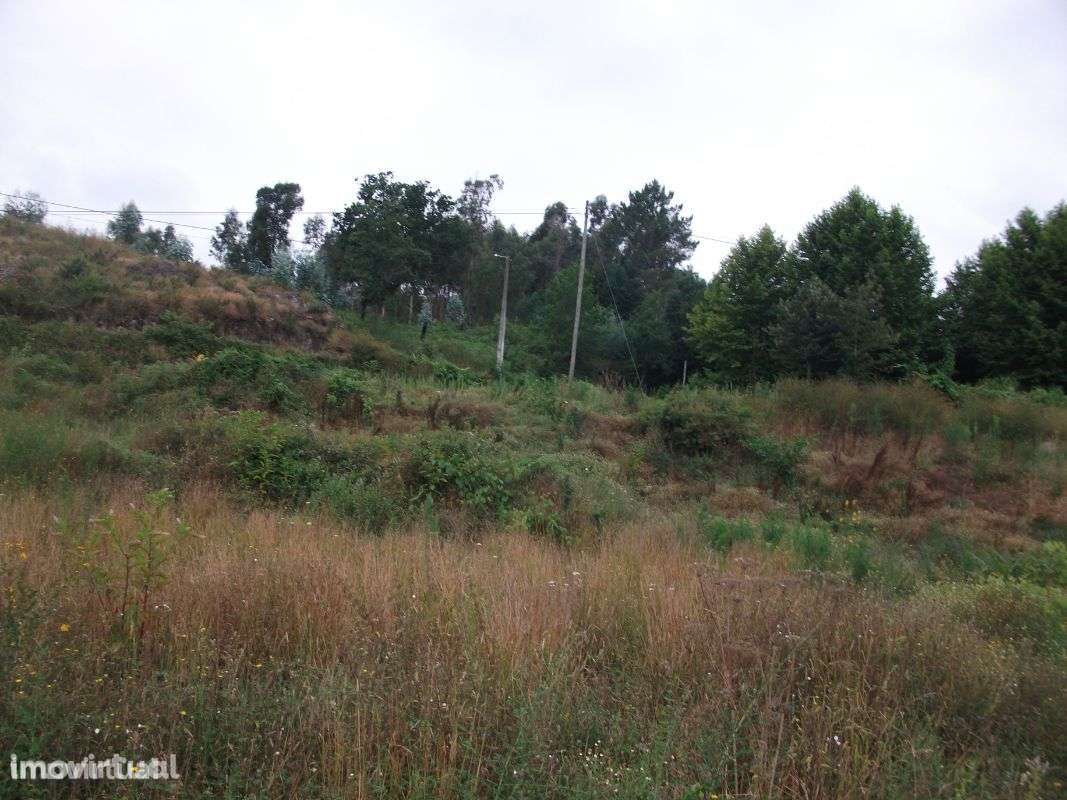 Excelente Terreno Industrial - Grande imagem: 2/4