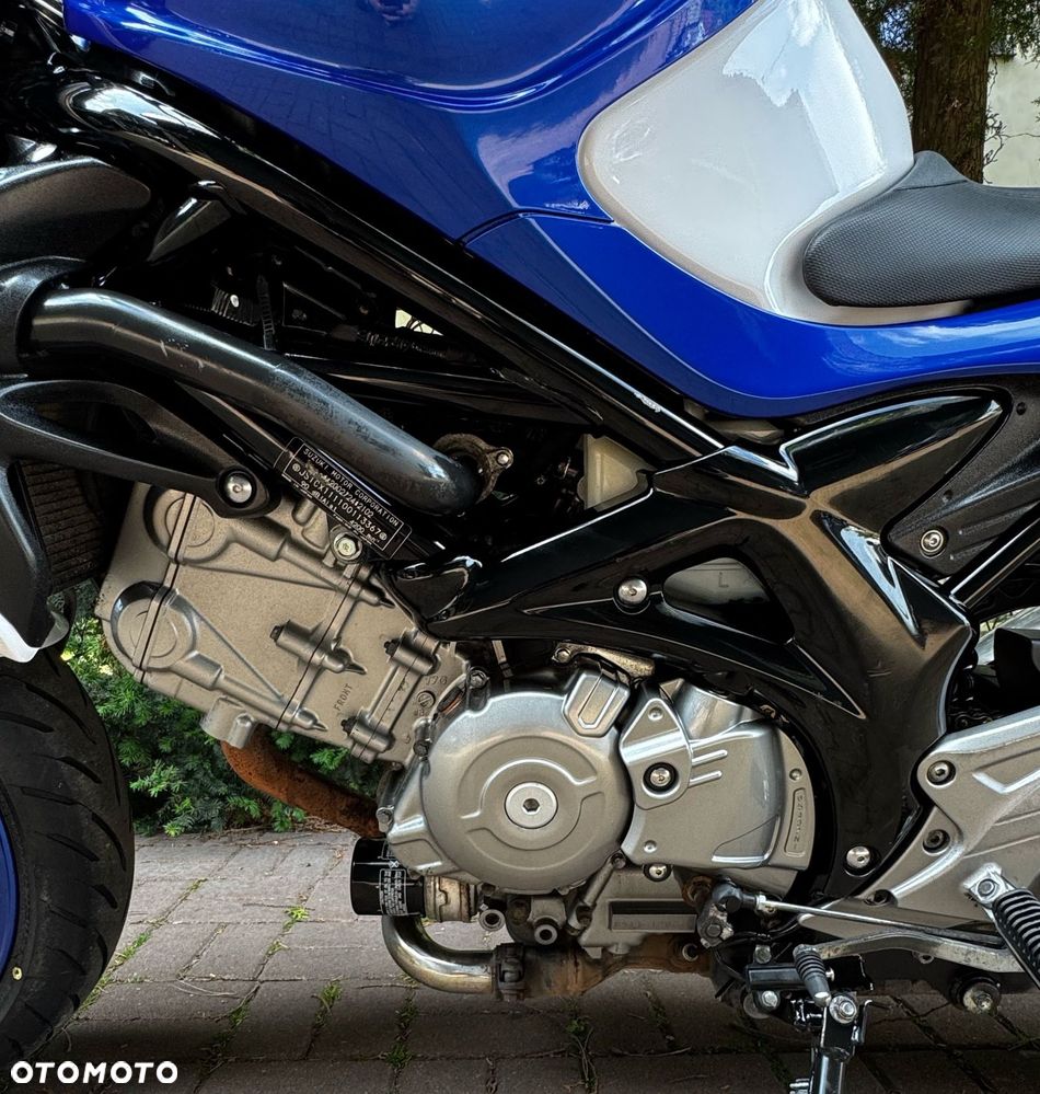 Suzuki Gladius - 10
