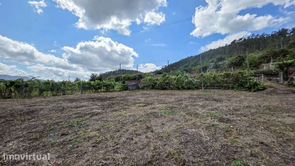 Terreno - Mosteiro - Grande imagem: 3/6