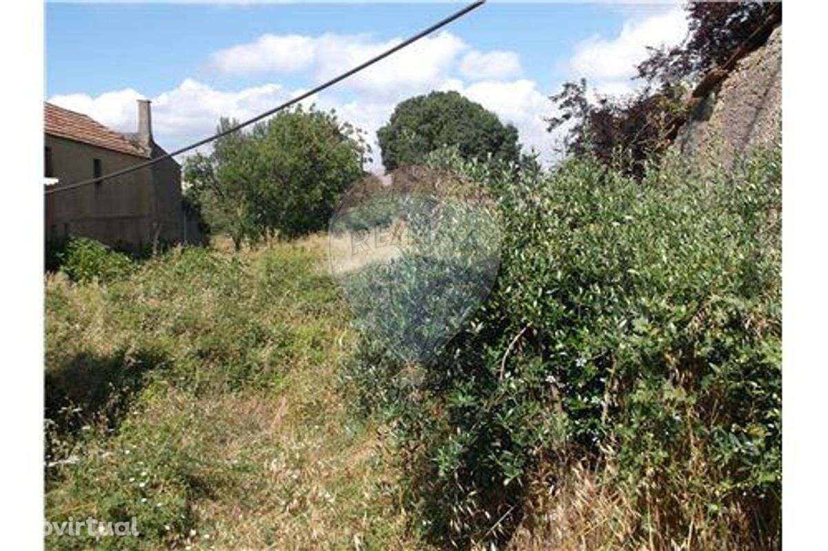 Moradia para recuperação - Grande imagem: 4/11