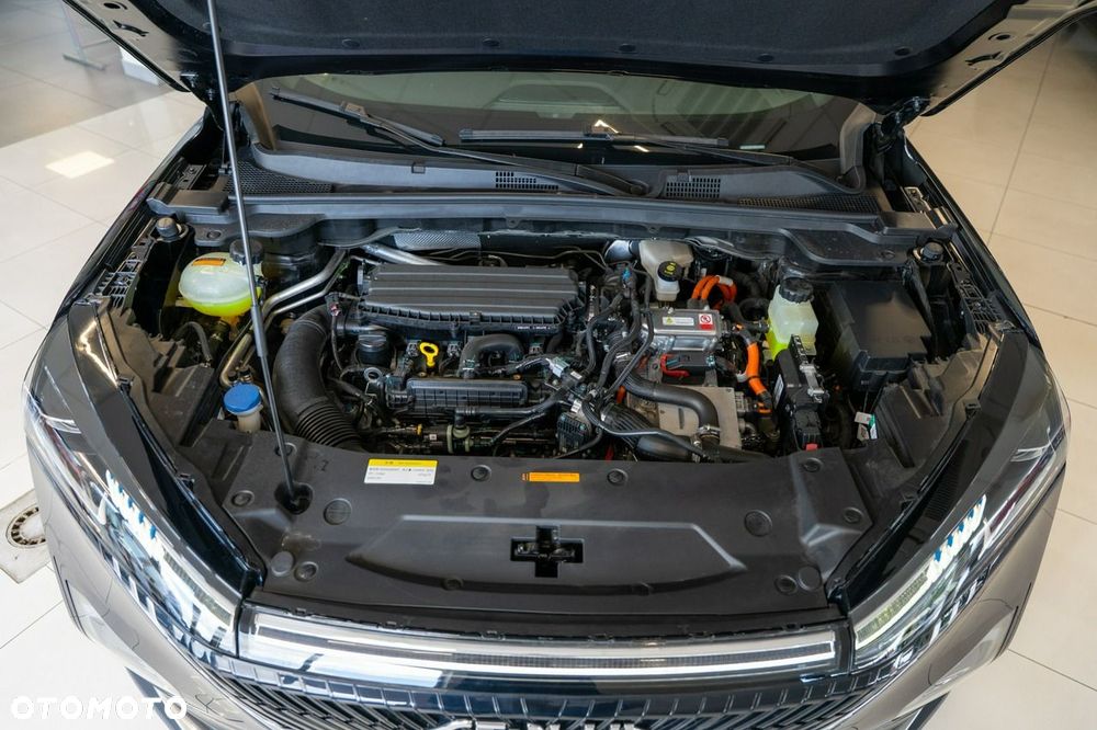 Dongfeng Mage - 20