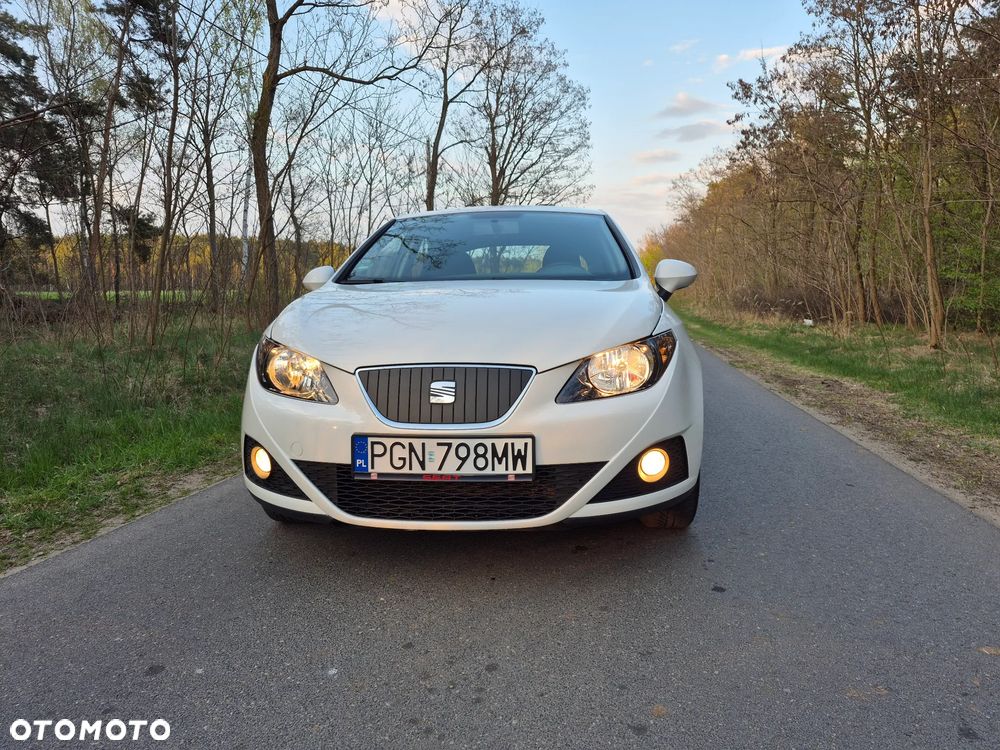 Seat Ibiza - 22