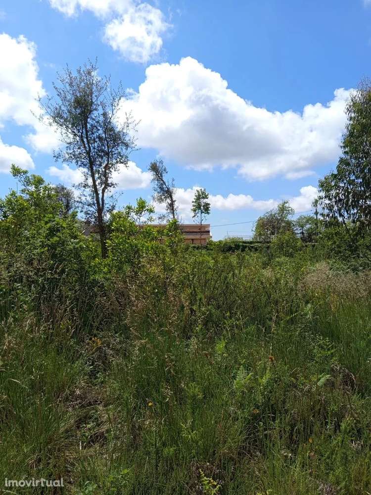 Lote de Terreno de 8.500 m² em Santa Maria da Feira - Grande imagem: 5/49