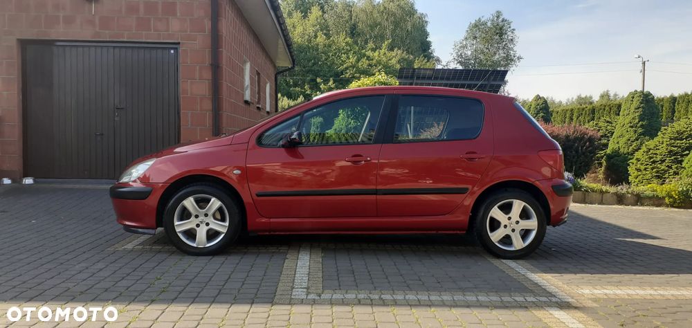Peugeot 307 135 Tendance - 5