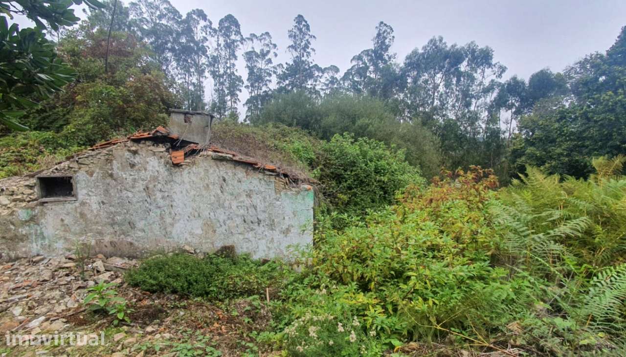Venda de Moradia em ruínas, Junqueira, Vila do Conde - Grande imagem: 3/18