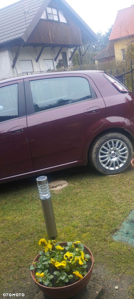 Fiat Punto - 1