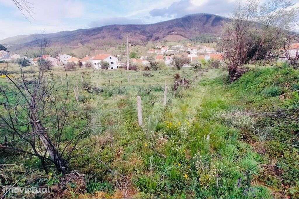 Terreno rústico parcialmente urbanizável na Serra da Estrela - Grande imagem: 2/17