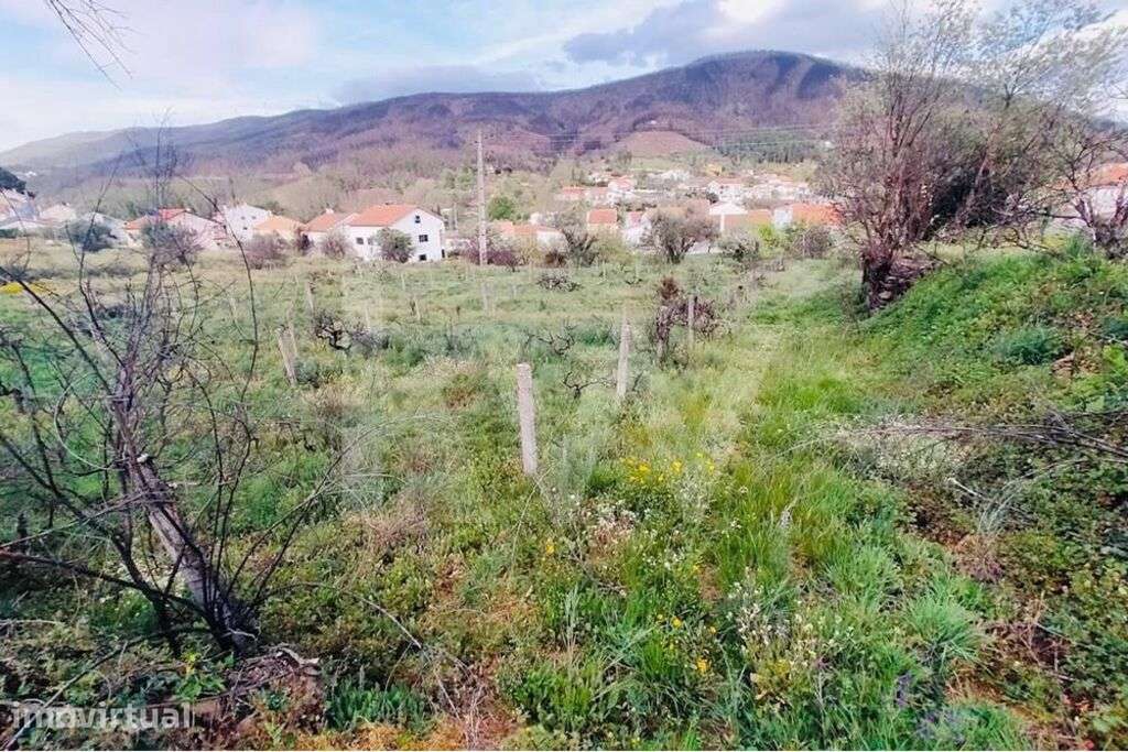 Terreno rústico parcialmente urbanizável na Serra da Estrela - Grande imagem: 2/17