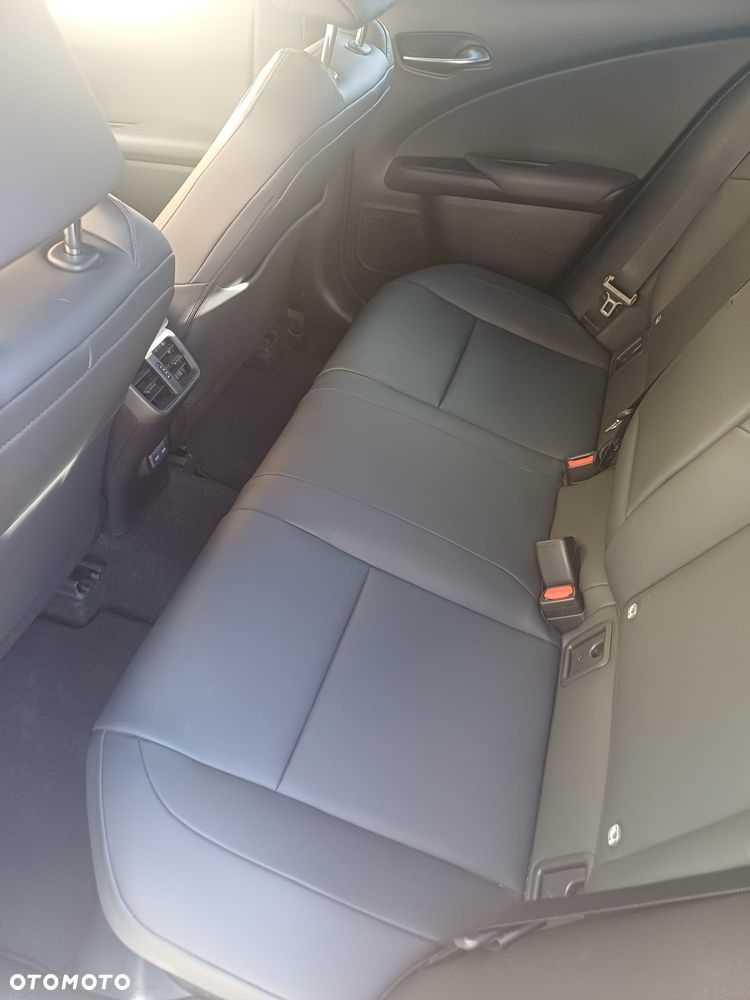 Lexus UX 250h GPF F Sport 2WD - 13