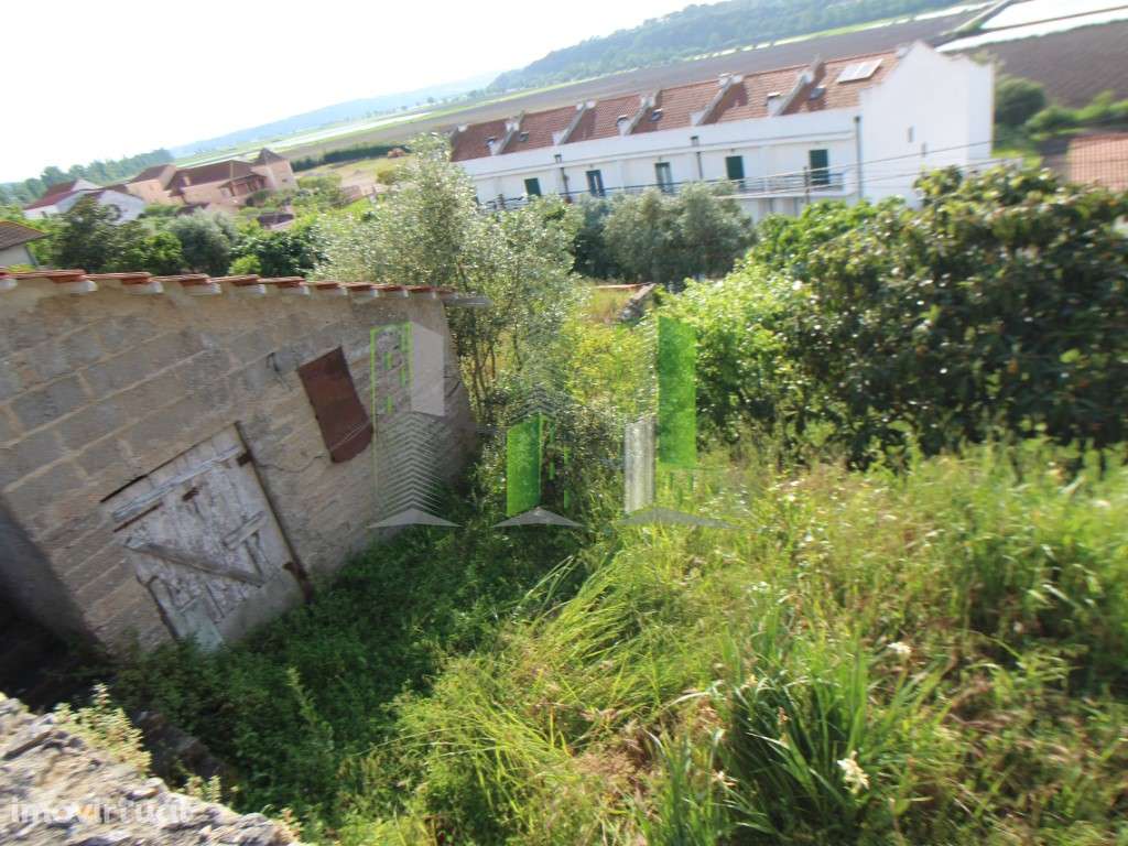 Terreno Venda Montemor-o-Velho - Grande imagem: 4/8