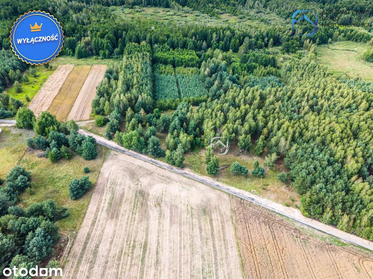 Grunt z potencjałem - 2504m2 - Serniki Kolonia - Pełny obrazek: 4/15
