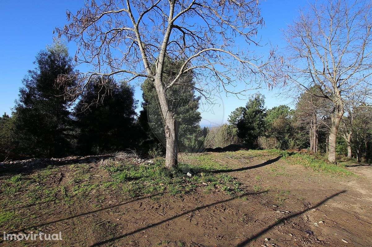 Terreno  para venda - Grande imagem: 4/15