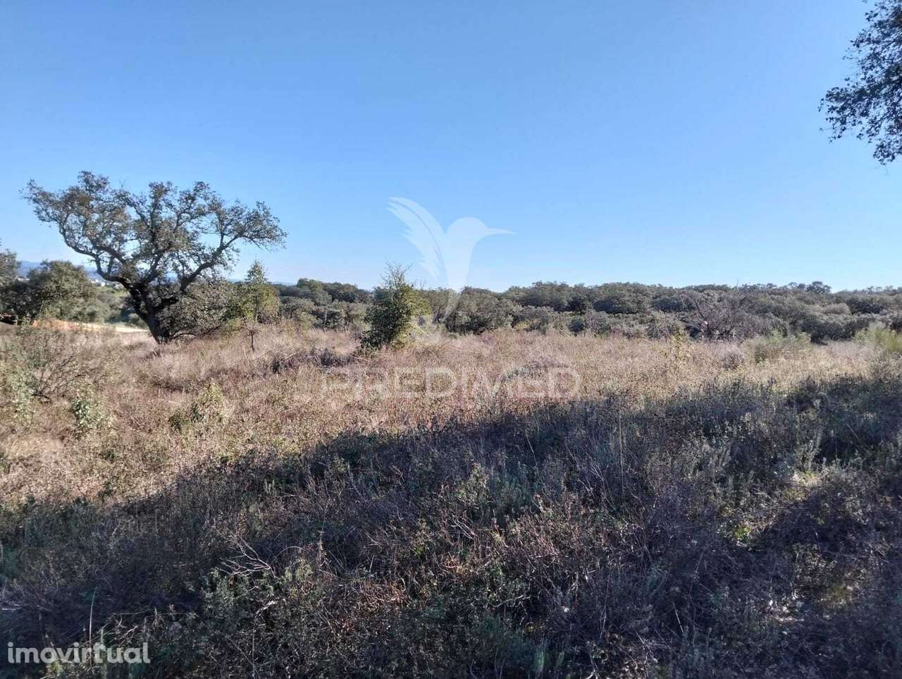 Terreno Rustico com 1,425 hectares - Grande imagem: 3/16