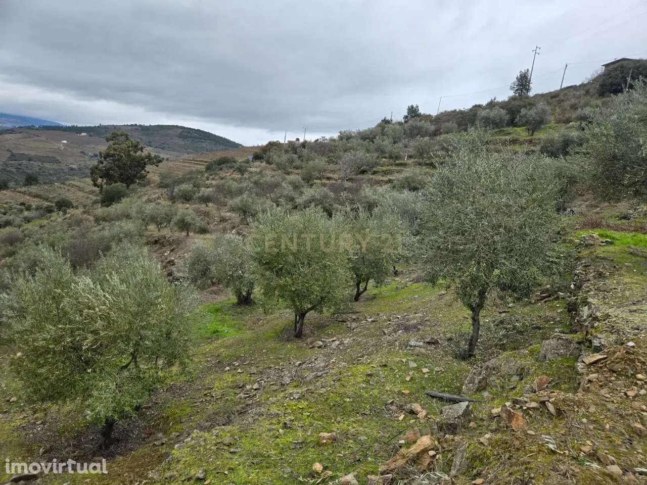 Refúgio Único no Coração do Douro - Grande imagem: 3/6
