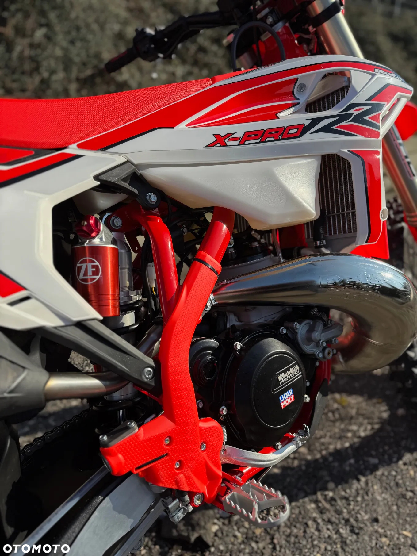 Beta RR