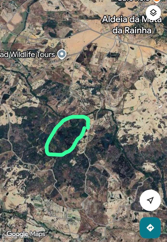 Terreno rústico 11.163m² com casa em ruínas, poço em pedra, ribeiro - Grande imagem: 2/18