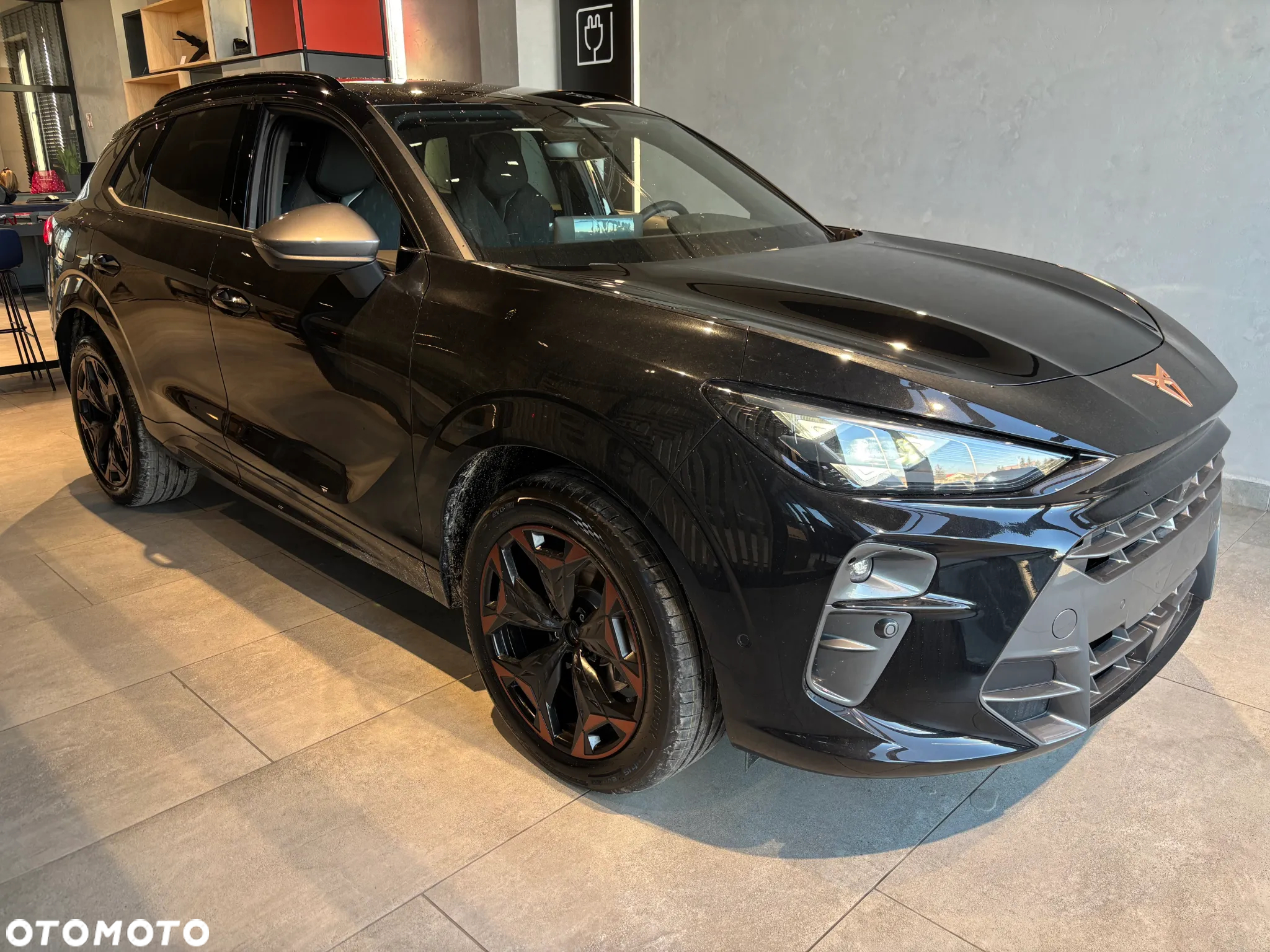 Cupra Terramar 2.0 TSI 4Drive DSG - 11