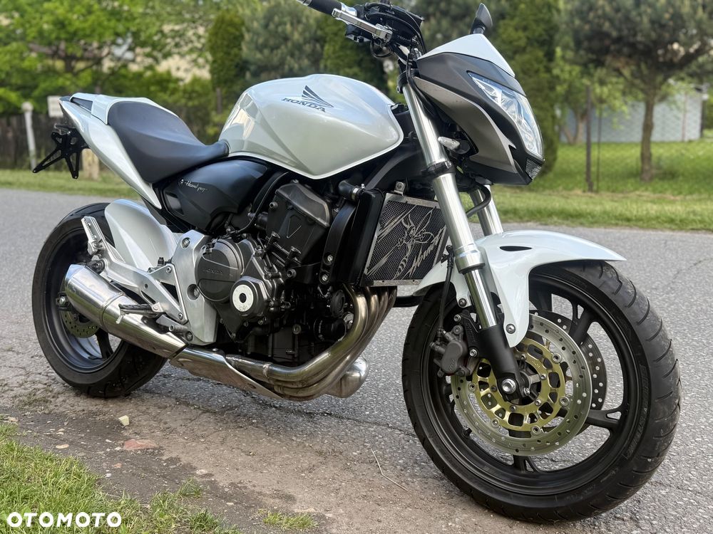 Honda Hornet - 13