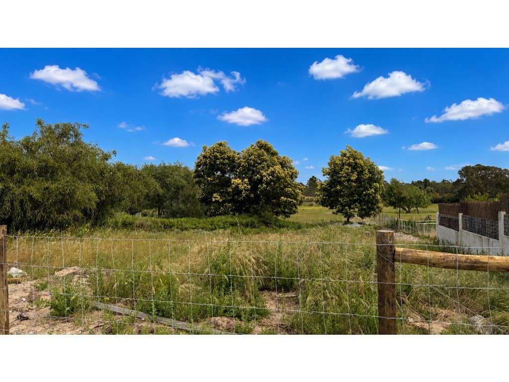 Terreno com Vista Premium na Comporta - Grande imagem: 2/18