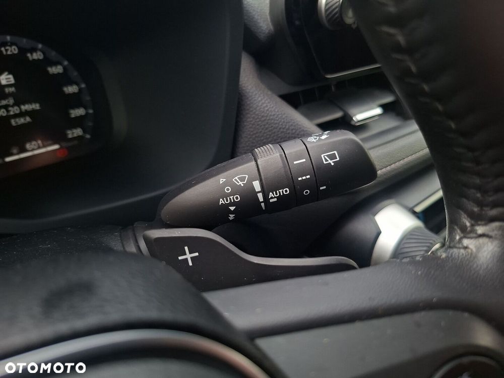 Toyota RAV4 - 20