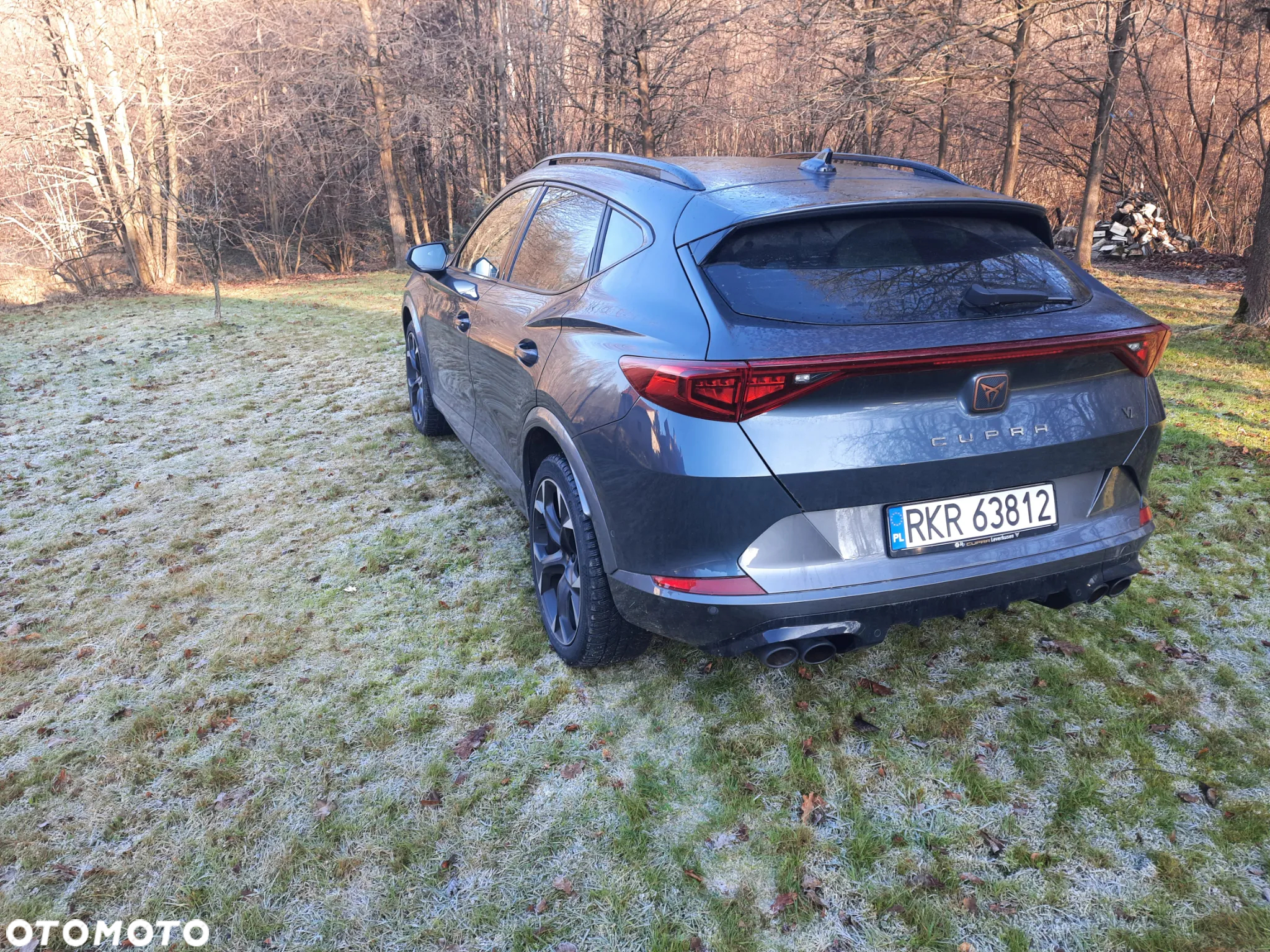 Cupra Formentor VZ 2.0 TSI 4Drive DSG - 10