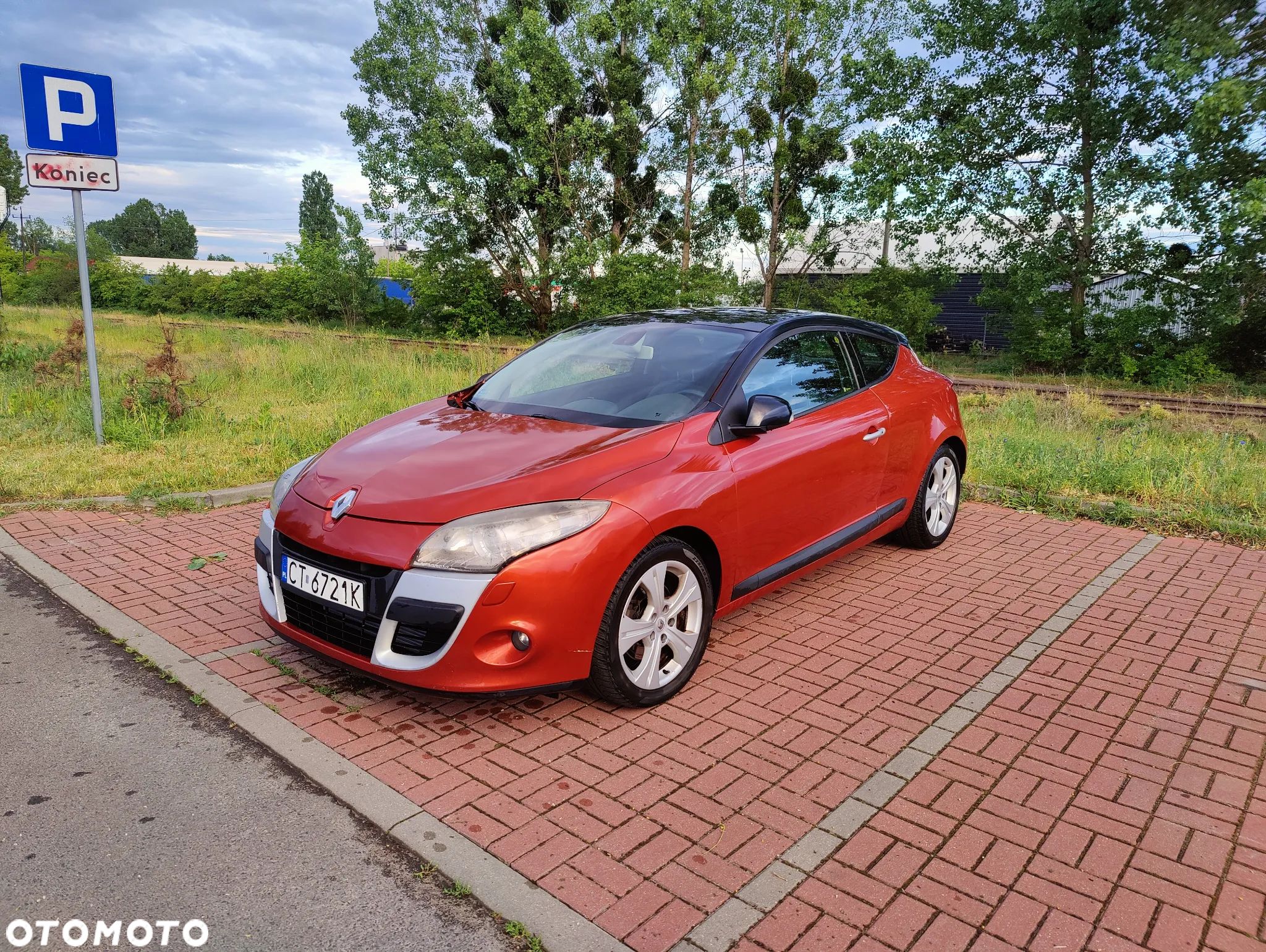 Renault Megane 2.0 dCi Dynamique - 1