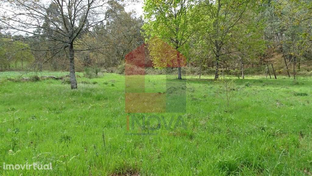 Vende-se Terreno, Coucieiro - Grande imagem: 5/7