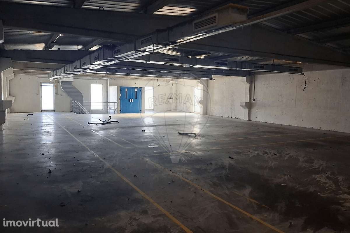 Armazém  para arrendamento - Grande imagem: 3/17