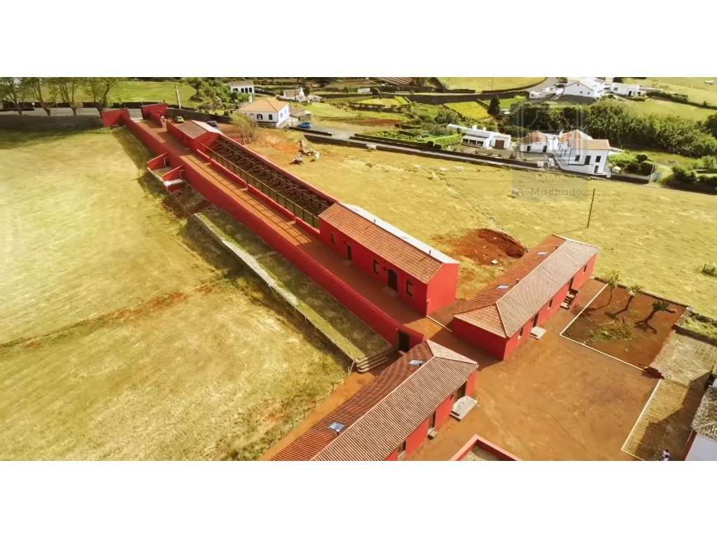 VENDA de SOLAR com empreendimento turístico rural (Casas de Campo) ... - Grande imagem: 3/60