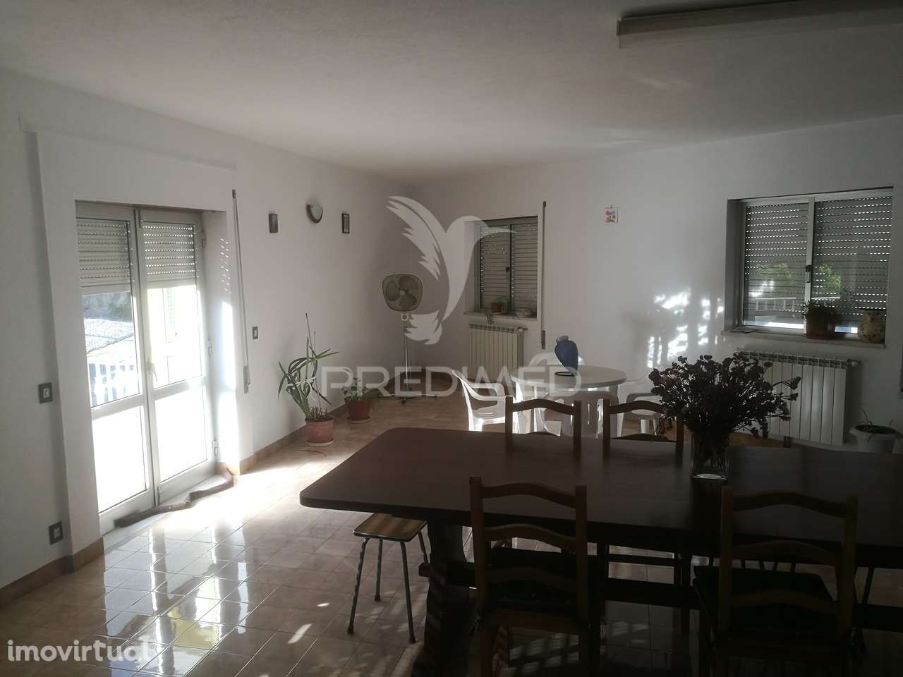 Quinta com casa e terrenos - Grande imagem: 4/4