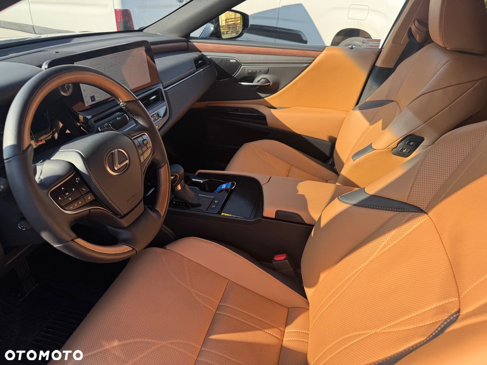 Lexus ES 300h Omotenashi - 15