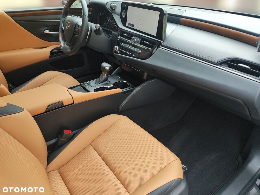 Lexus ES 300h Omotenashi - 13
