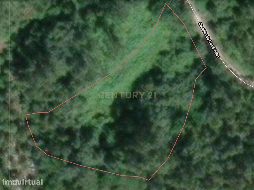 Terreno Espetacular em Alvados, Porto de Mós - 30.730m² - Grande imagem: 2/3