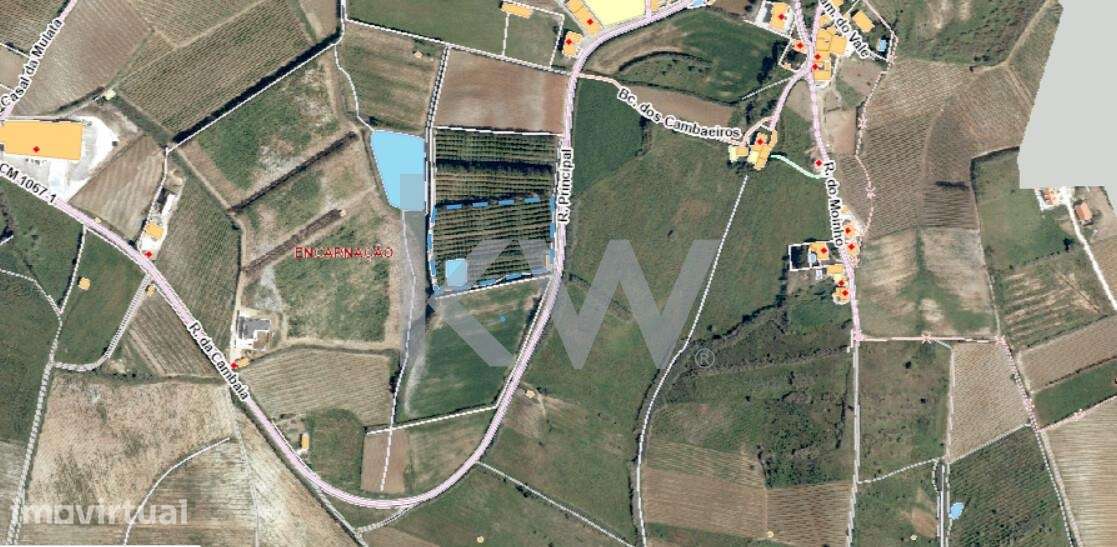 Terreno c/ 11.750 m2 de Pomar de Limões na Encarnação - Grande imagem: 4/15