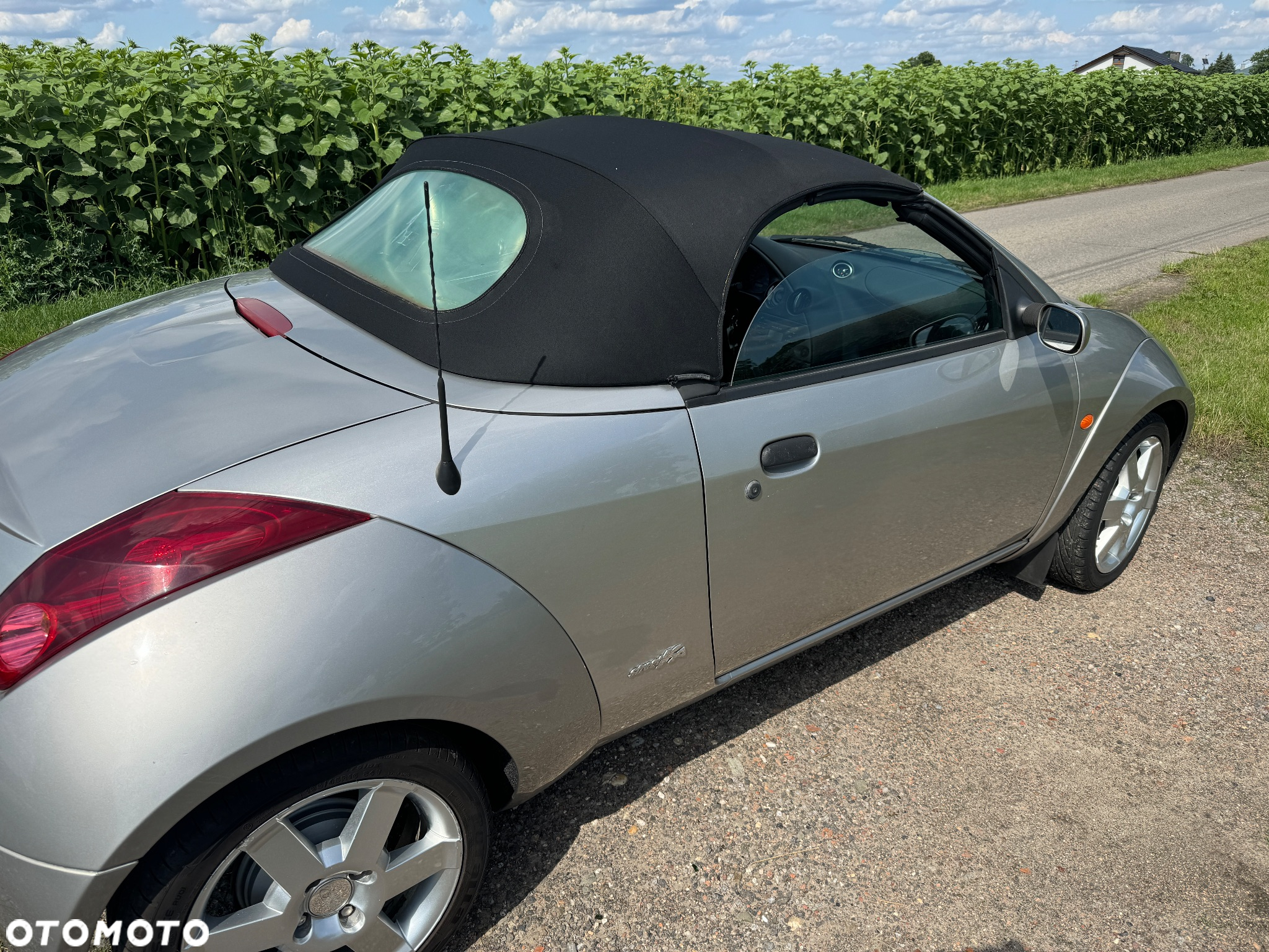 Ford Streetka - 17
