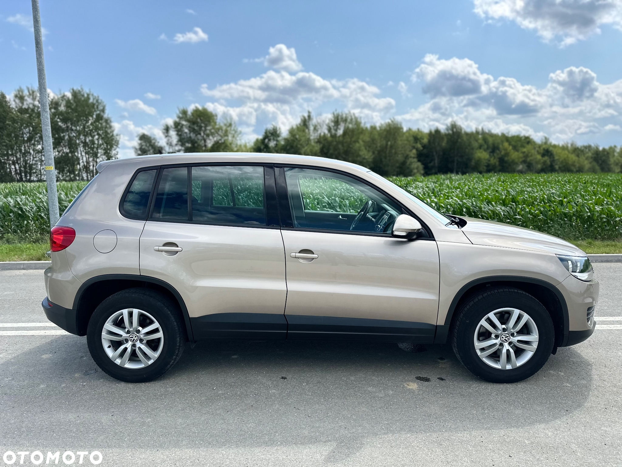 Volkswagen Tiguan 1.4 TSI (BlueMotion Technology) Trendline - 5