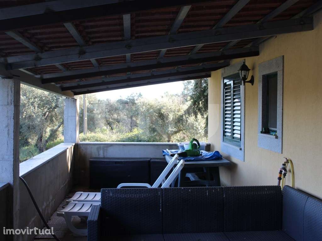 Quinta T3 com 14 630m2 de área - Grande imagem: 2/41