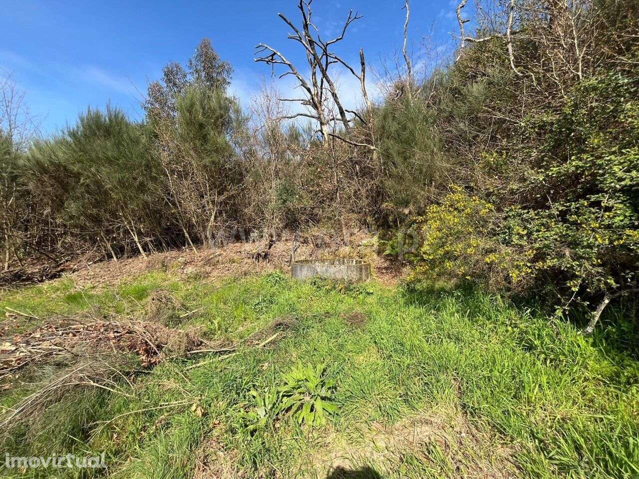 Terreno / Seia, Sameice e Santa Eulália - Grande imagem: 3/15