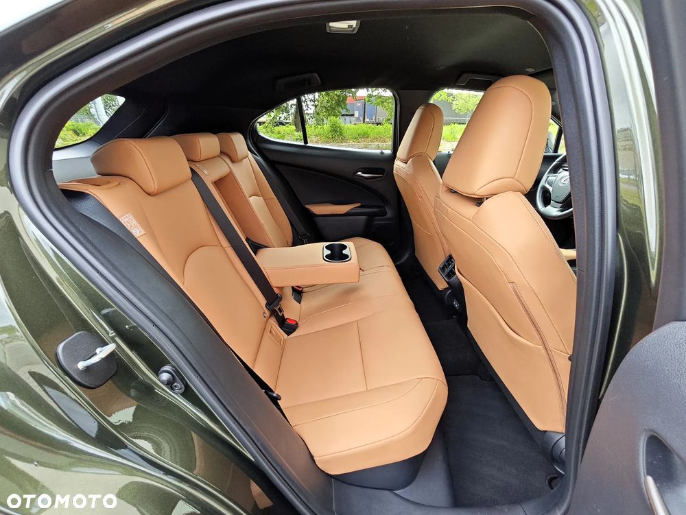 Lexus UX 250h GPF F Sport Design+ 2WD - 14