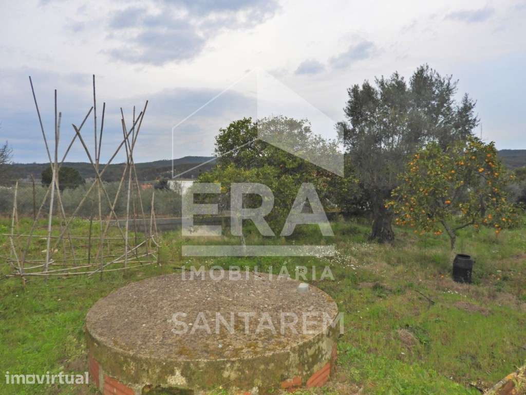 Terreno para Construção - Ulme - Grande imagem: 4/8