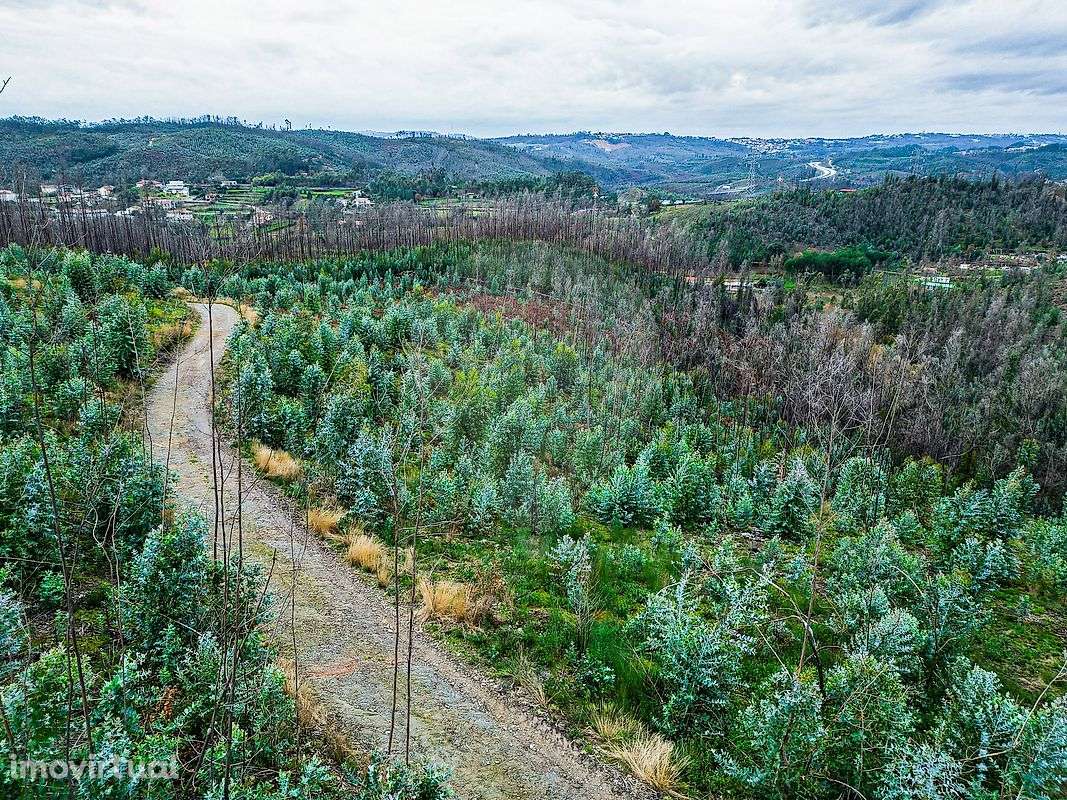 Terreno  para venda - Grande imagem: 4/11