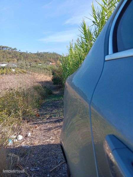 Vende-se olival com 51 oliveiras - Grande imagem: 5/6