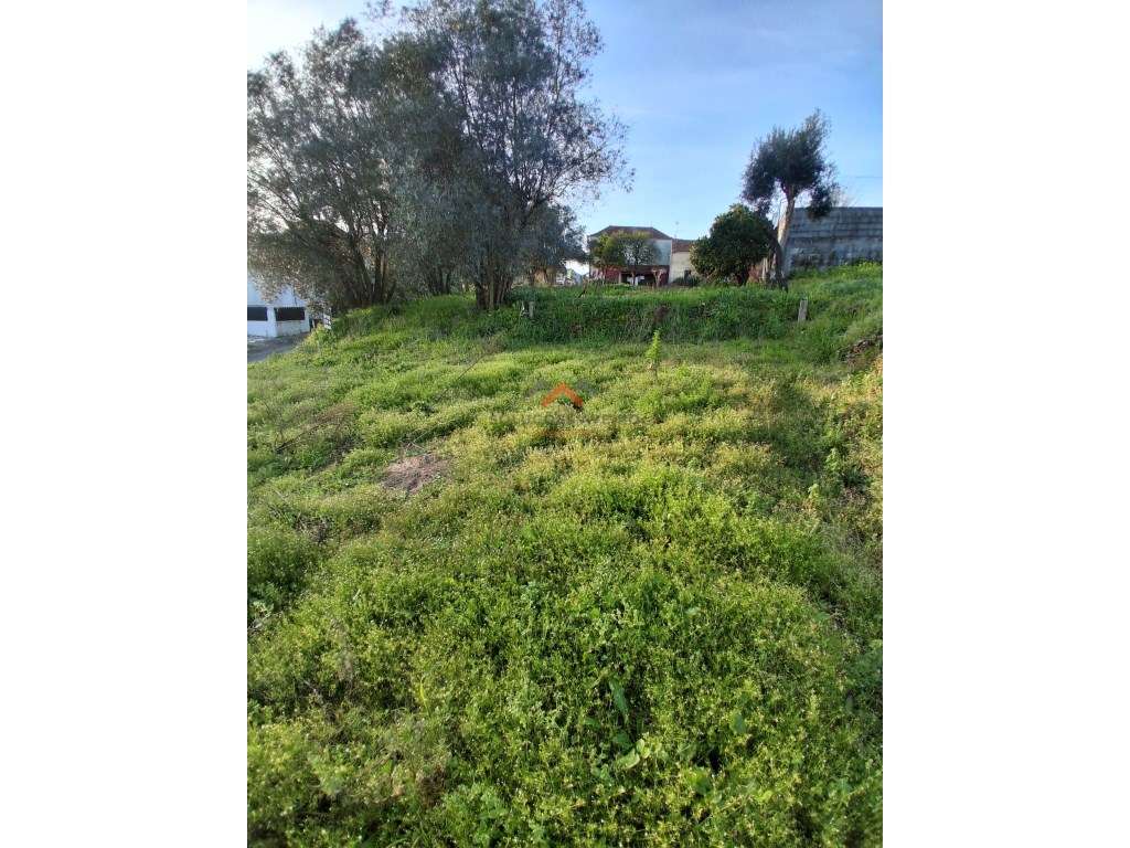 Terreno Urbano à Venda em Oiã - Zona Calma - Grande imagem: 2/4