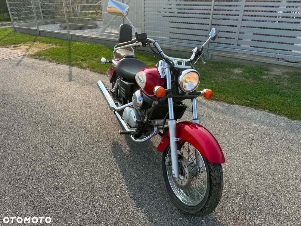 Honda Shadow - 3