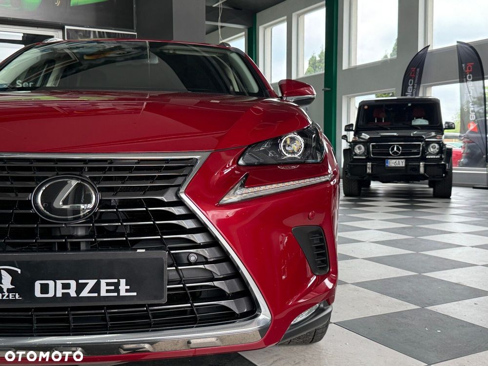 Lexus NX - 32