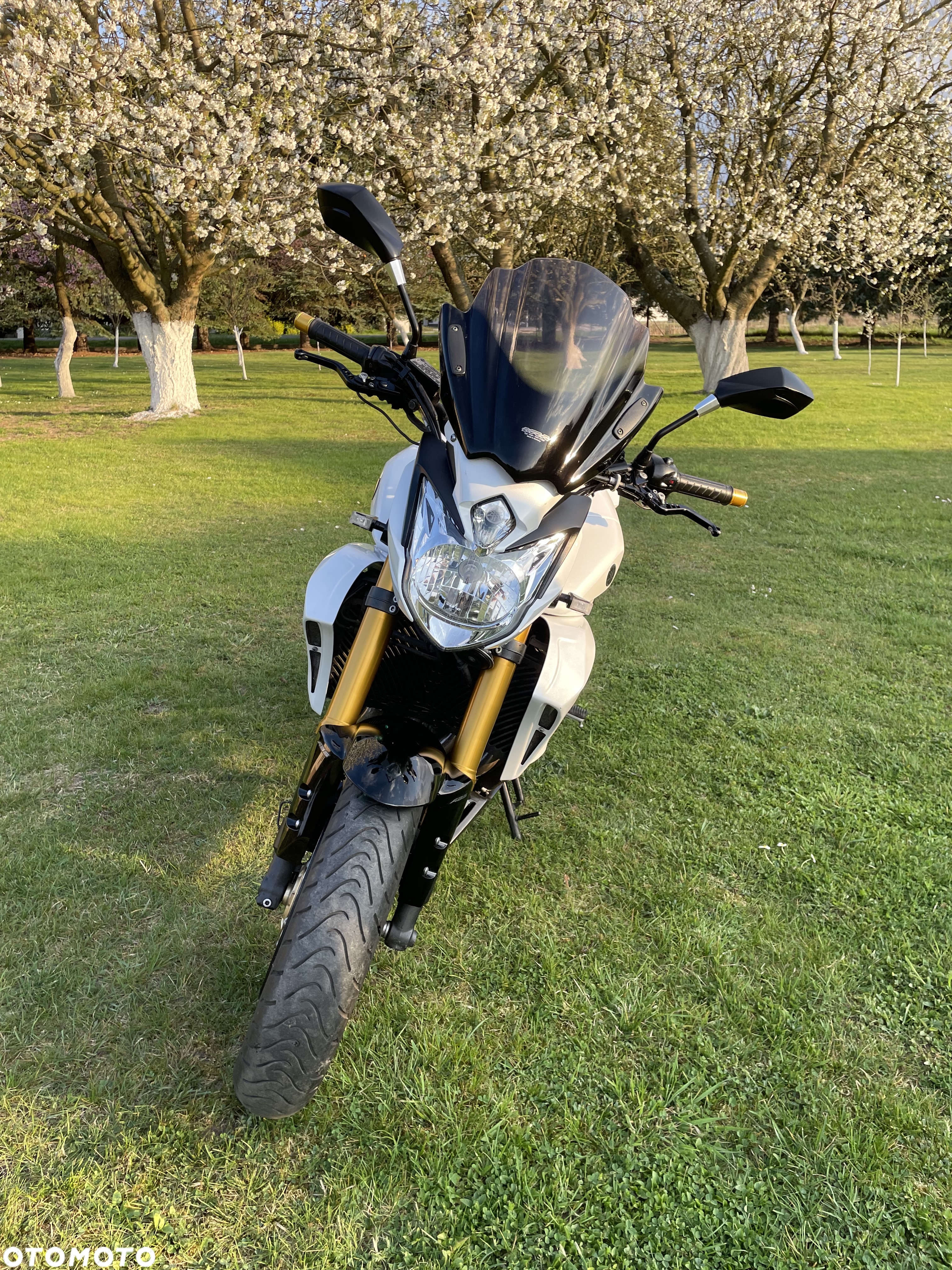 Yamaha FZ8 - 11