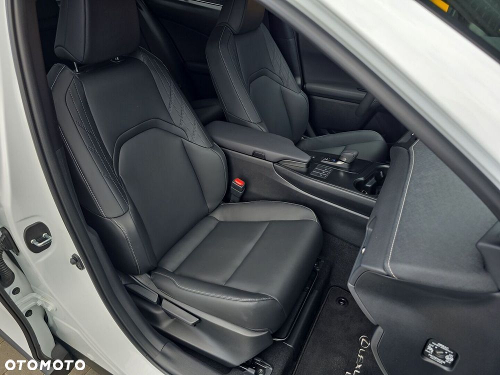 Lexus UX 300h F Sport Design - 13