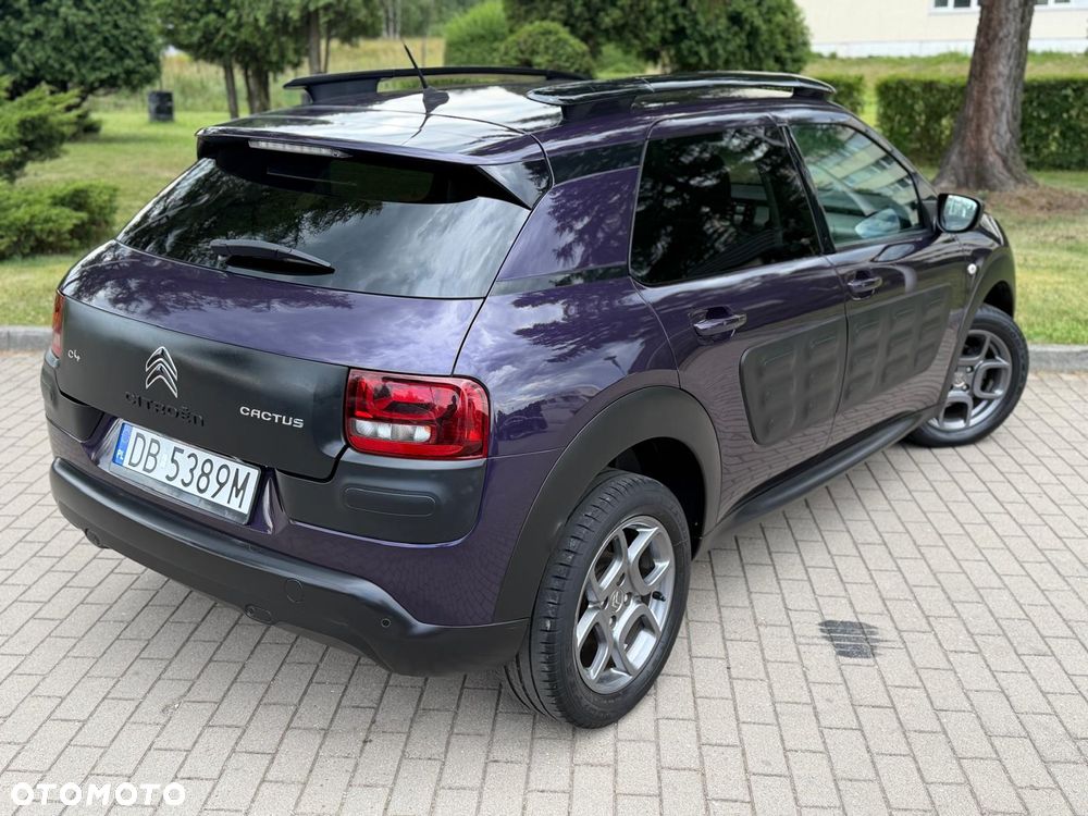 Citroën C4 Cactus PureTech 110 Stop&Start Origins - 18